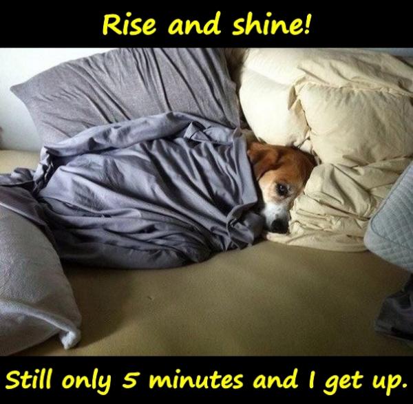 Rise and shine! Still only 5 minutes and I get up