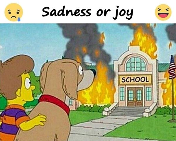 Sadness or joy