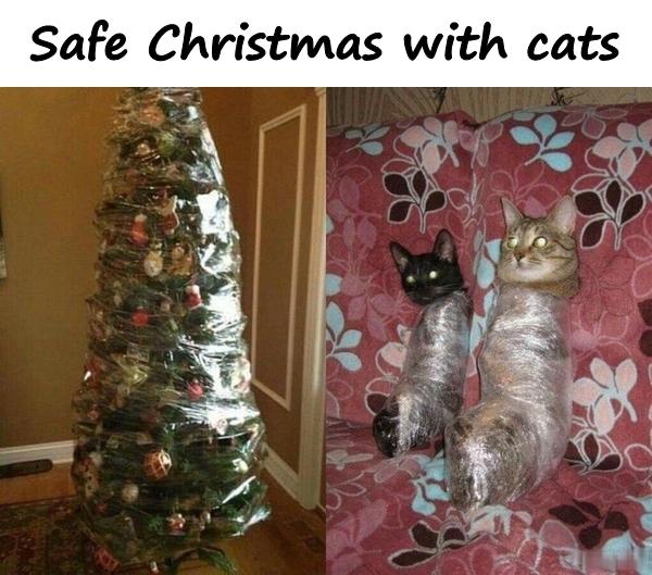 Safe Christmas with cats