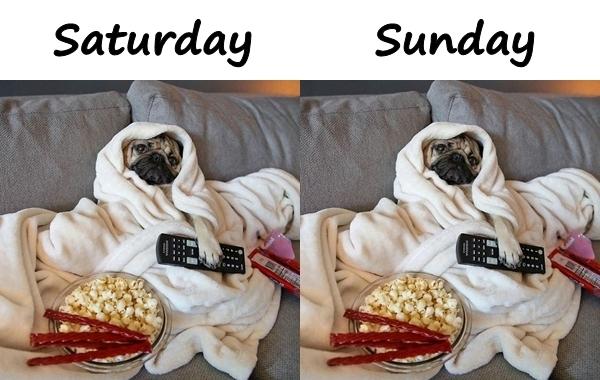 Saturday and Sunday