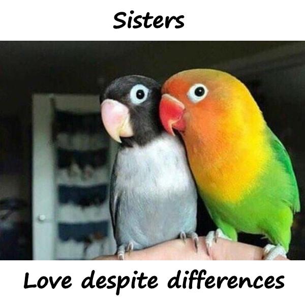 Sister. Love despite differences