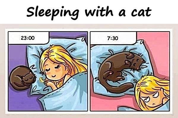 Sleeping with a cat