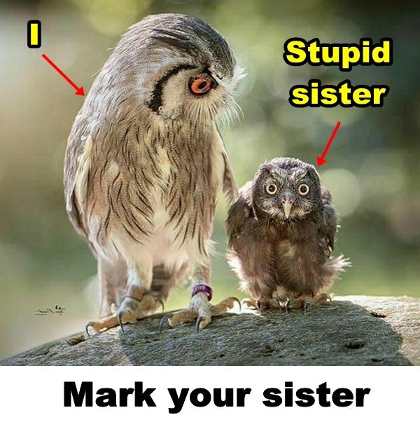 Stupid sister. Mark your sister