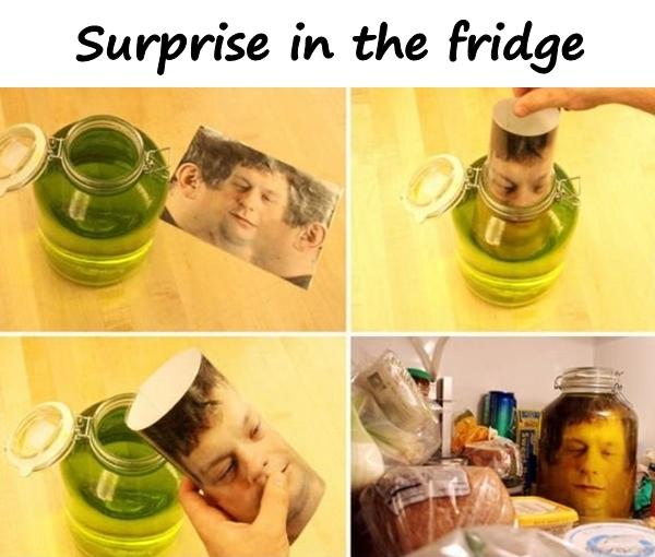 Surprise in the fridge