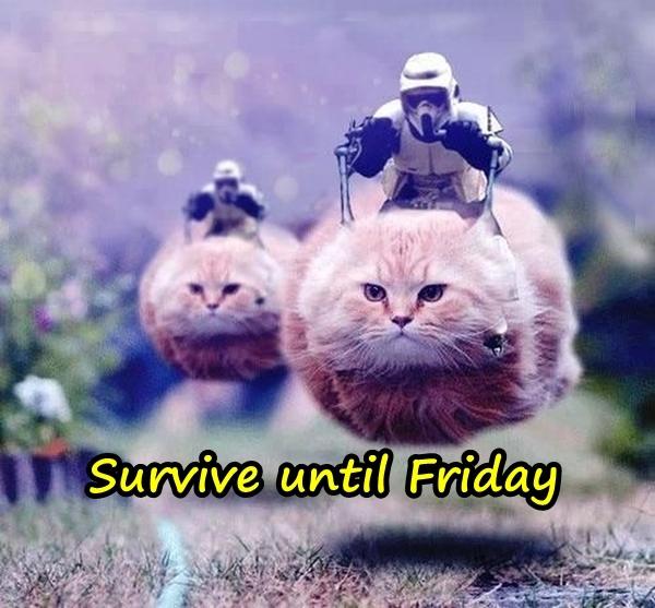 Survive until Friday