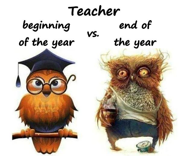 Teacher - beginning of the year vs. end of the year