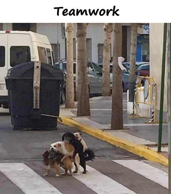 Teamwork