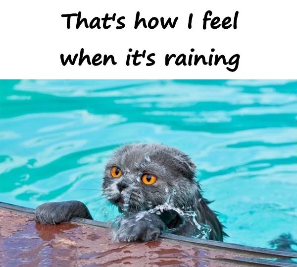 That's how I feel when it's raining