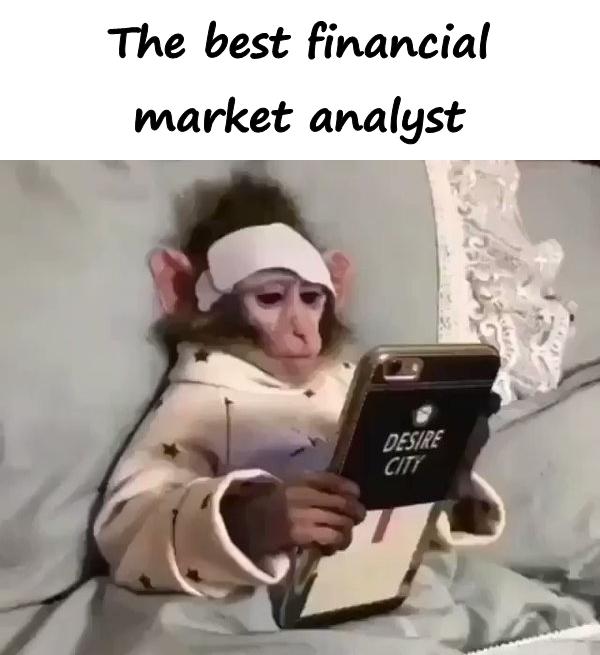 The best financial market analyst