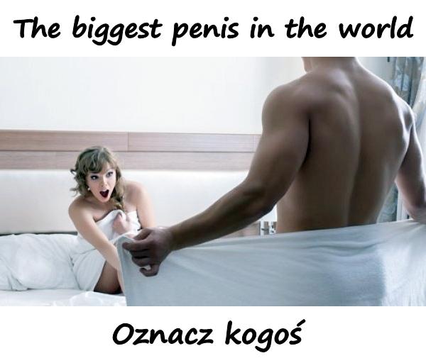 The biggest penis in the world. Mark someone