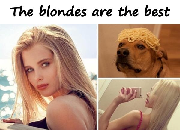 The blondes are the best