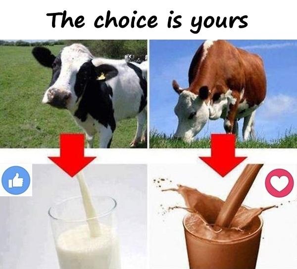 The choice is yours