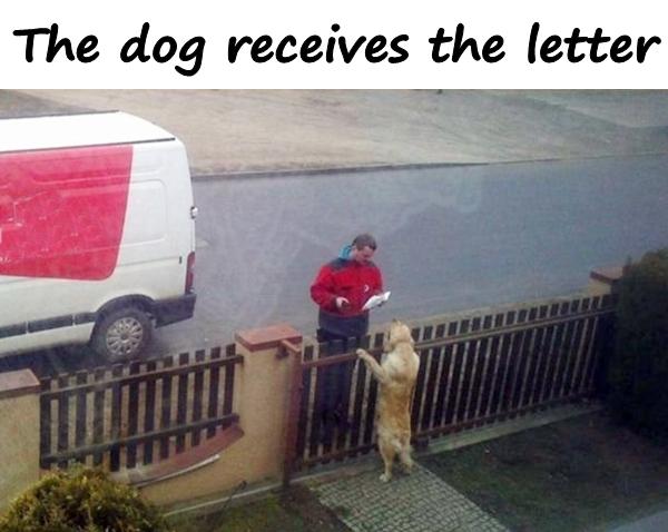 The dog receives the letter