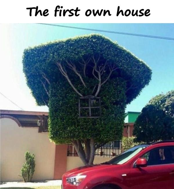 The first own house