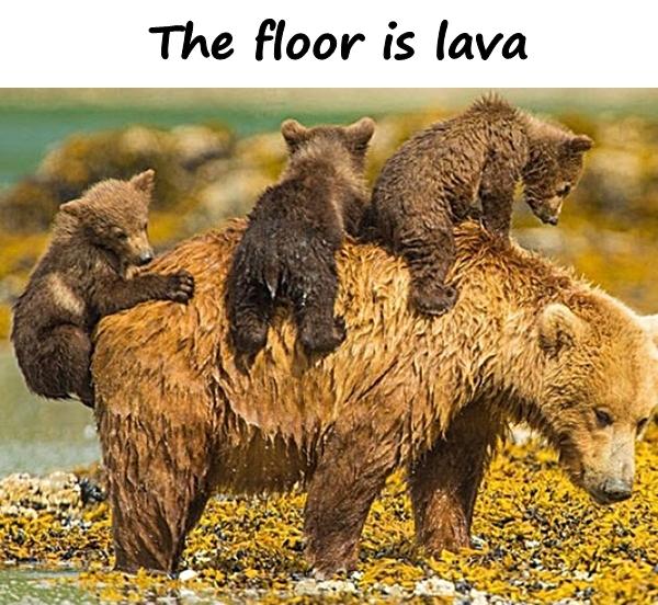 The floor is lava