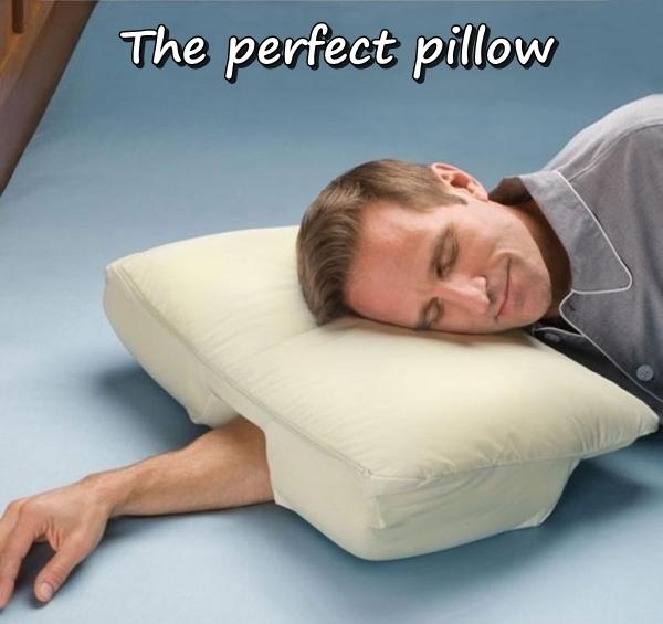 The perfect pillow