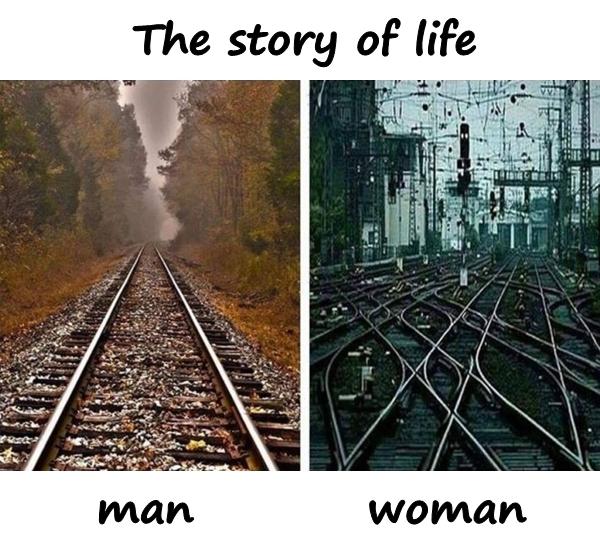 The story of life