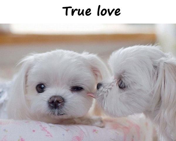 True love