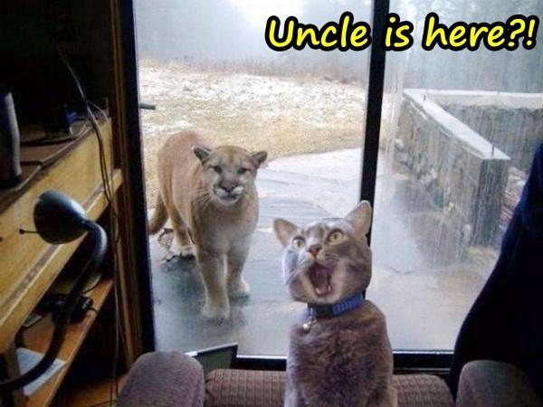 Uncle is here