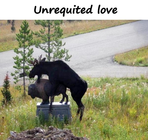 Unrequited love