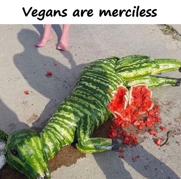 Vegans are merciless