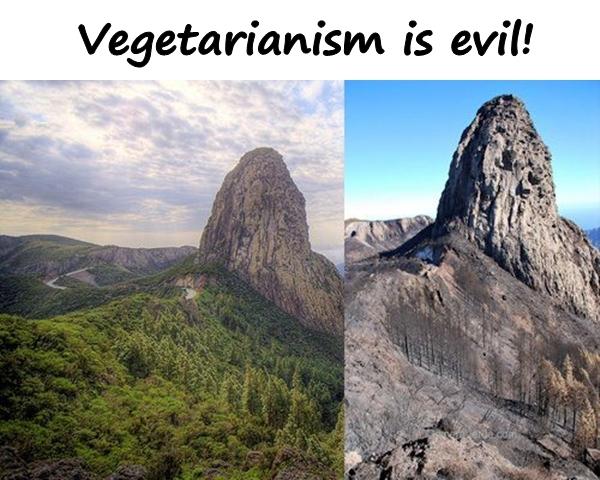 Vegetarianism is evil