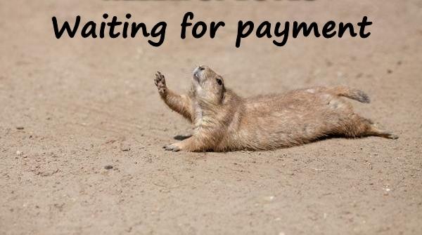 Waiting for payment