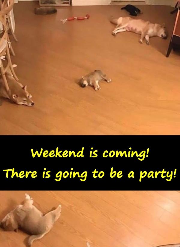 Weekend is coming! There is going to be a party