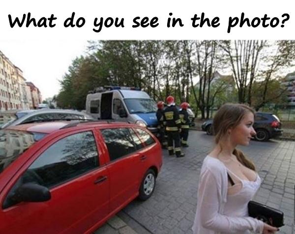 What do you see in the photo