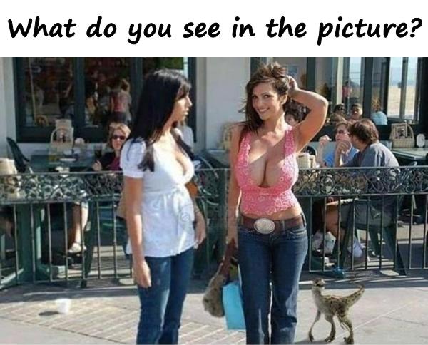 What do you see in the picture