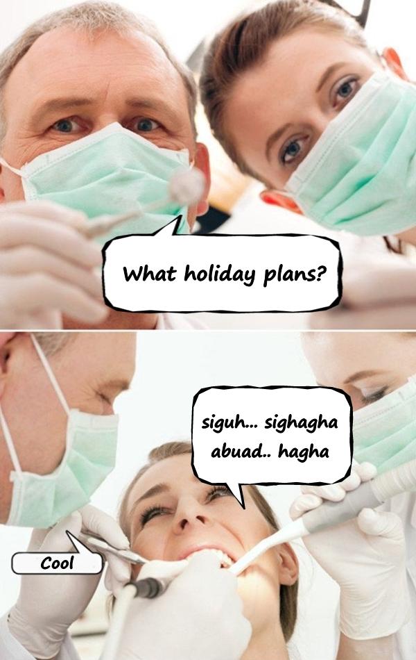 What holiday plans