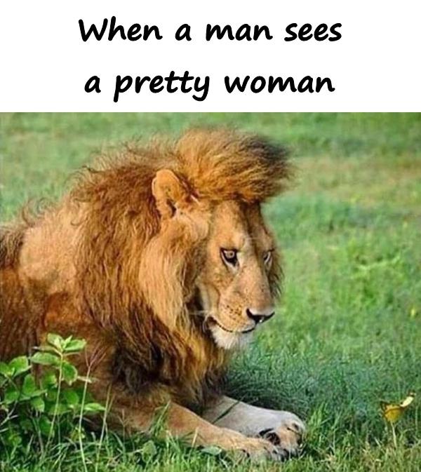 When a man sees a pretty woman