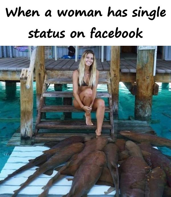 When a woman has single status on facebook