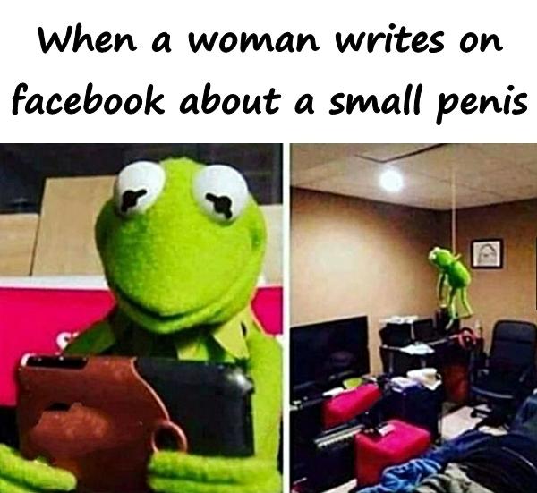 When a woman writes on facebook about a small penis