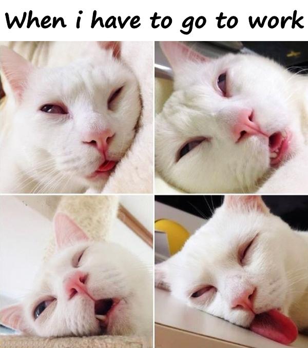 When i have to go to work