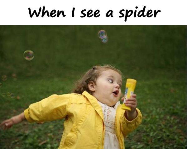 When I see a spider