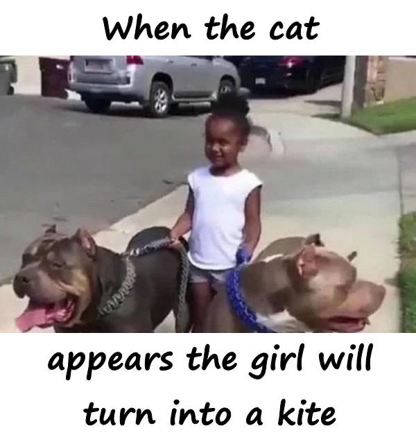 When the cat appears the girl will turn into a kite