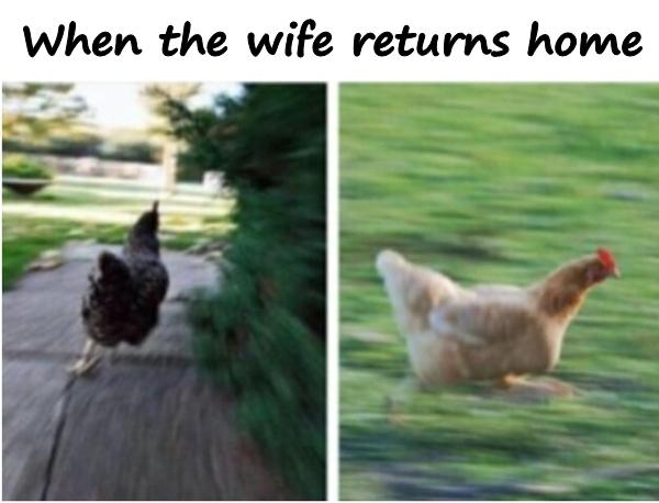 When the wife returns home