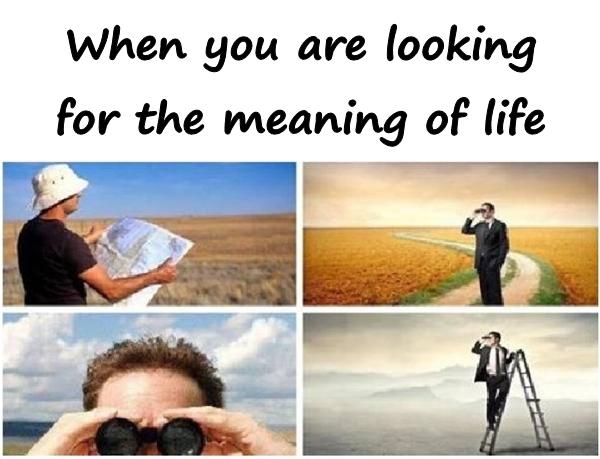 When you are looking for the meaning of life