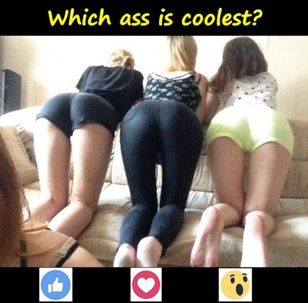 Which ass is coolest