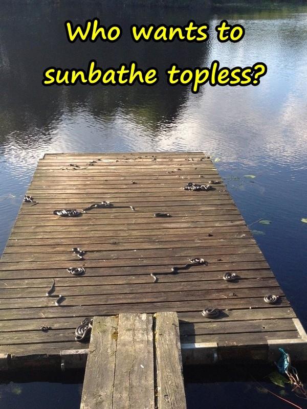 Who wants to sunbathe topless