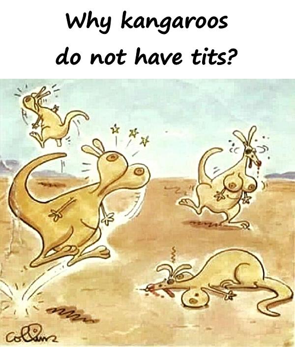 Why kangaroos do not have tits