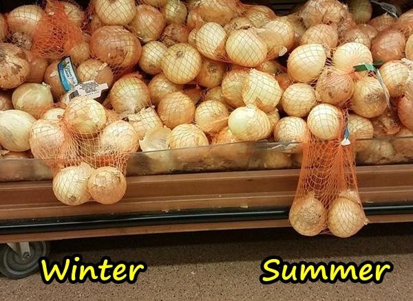 Winter vs. summer