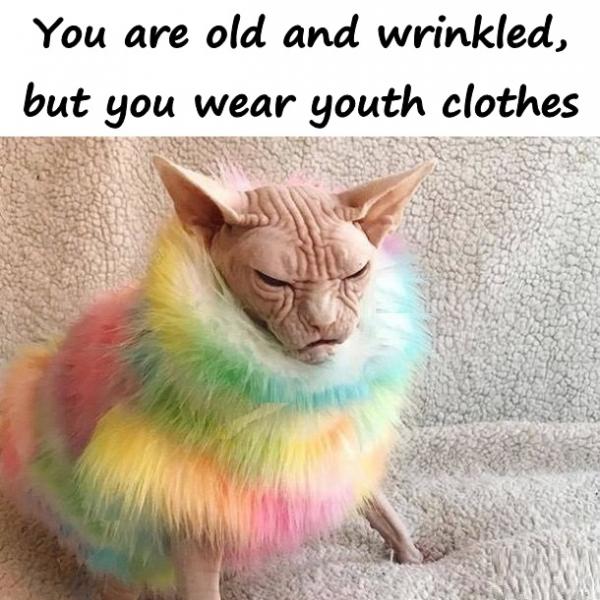 You are old and wrinkled, but you wear youth clothes