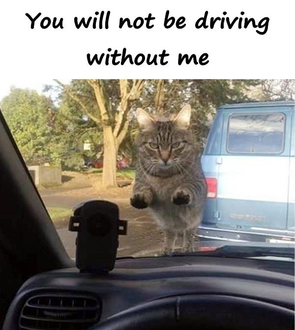 You will not be driving without me