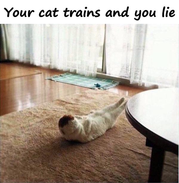 Your cat trains and you lie