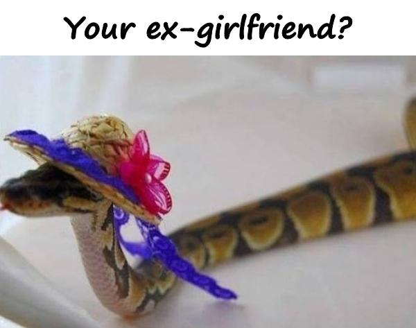 Your ex-girlfriend