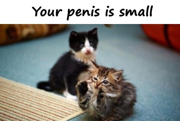 Your penis is small