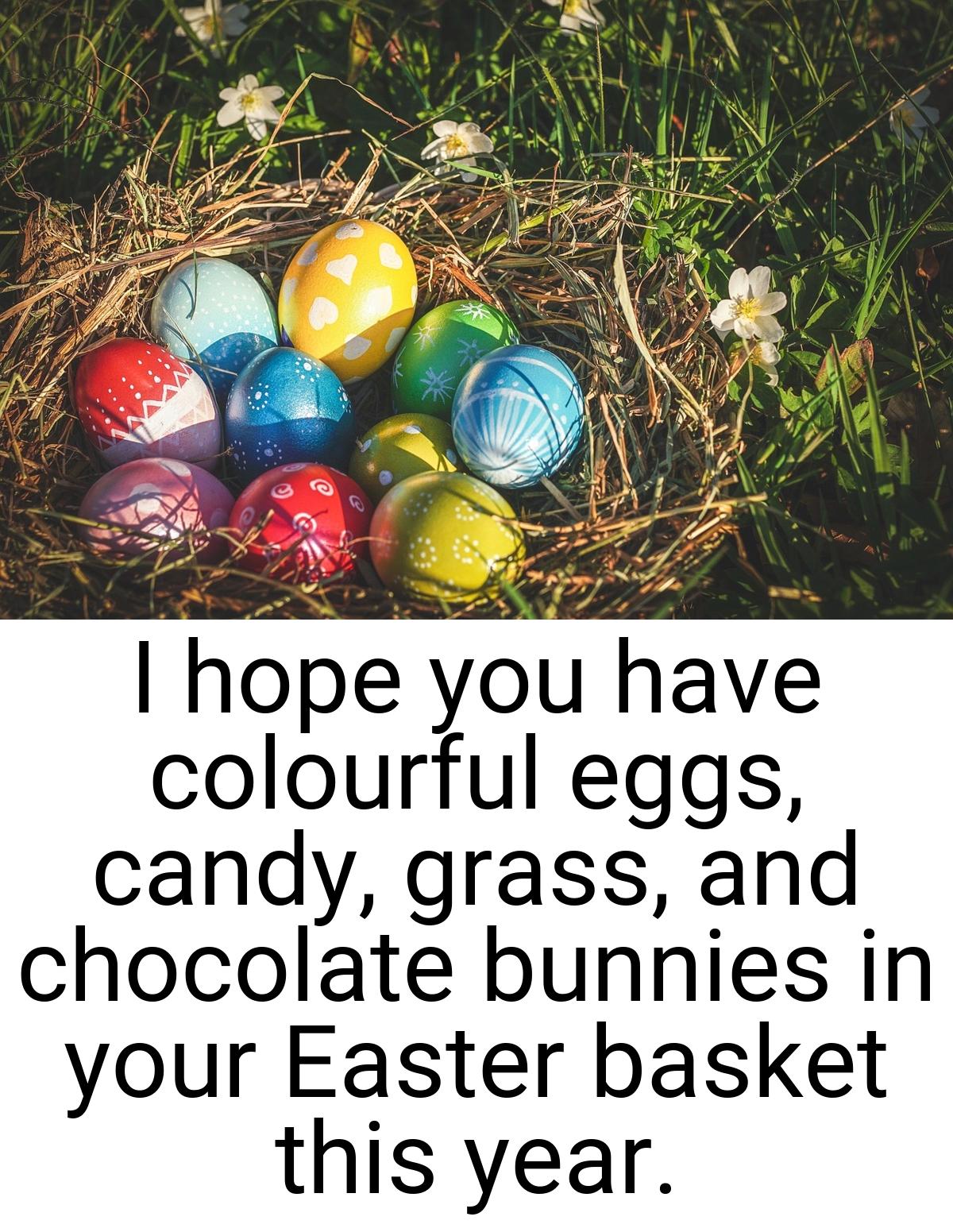 I hope you have colourful eggs, candy, grass, and chocolate