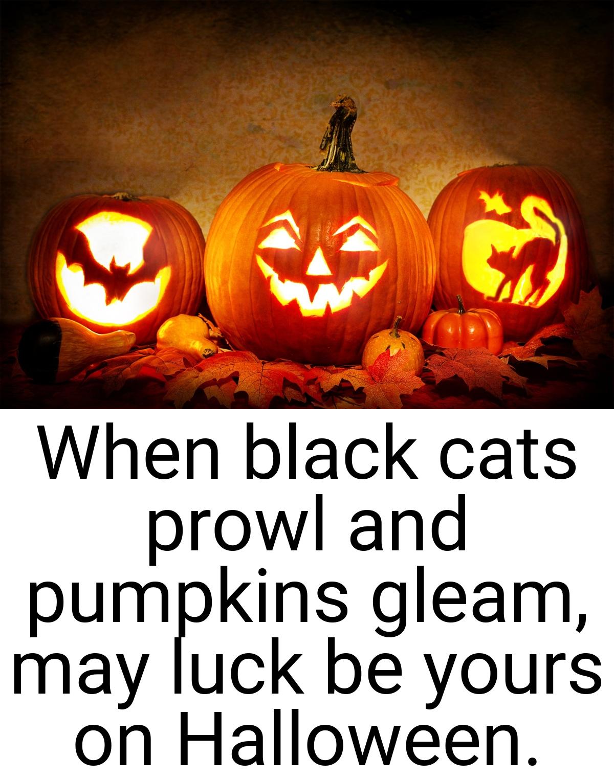 When black cats prowl and pumpkins gleam, may luck be yours